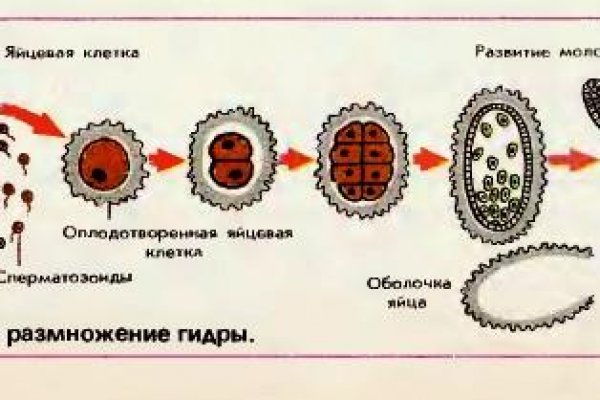Кракен даркнет не работает