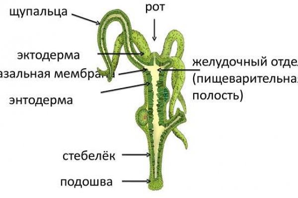 Кракен ссылка 2web